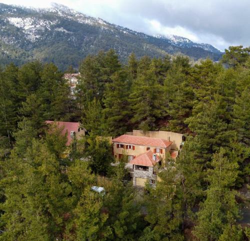 Lodge Kardama Hideaway