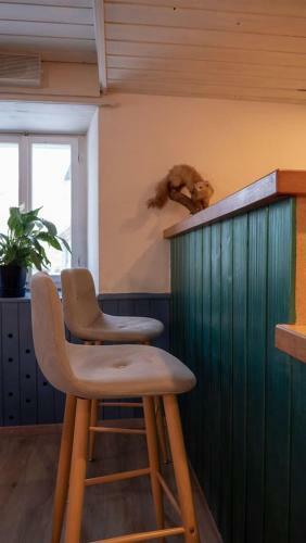 Ferienhaus Septimer