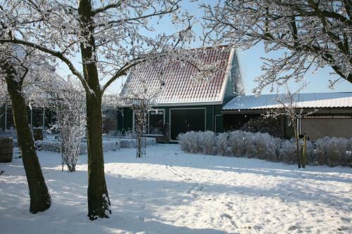 Skaap Amsterdam Waterland