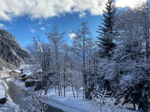 Alter L�rch