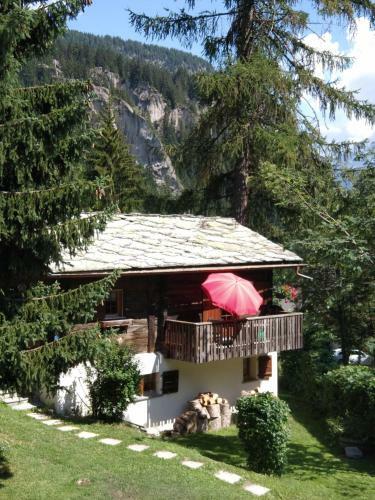 Alter L�rch