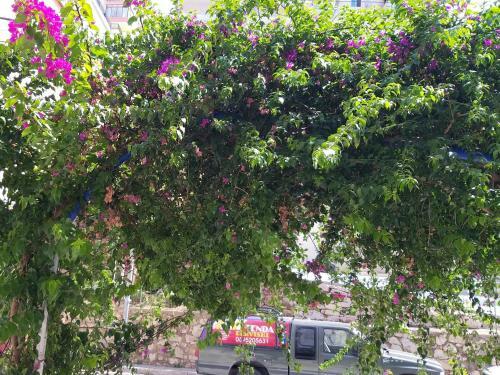 Iraa's Apartment Sarand�