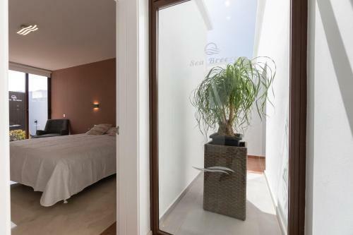 Villa Sea Breeze Jarea
