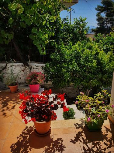 Hostal Meto Rooms