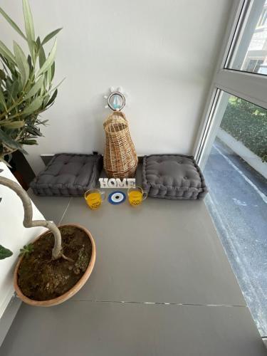 Vela Apartament 2