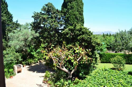 Villa Can Roig