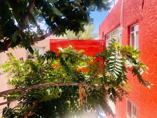 Hostal Kuira B� By Rotamundos