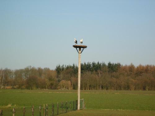 B&B Erve Dikkeboer