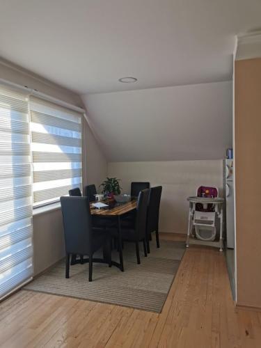 Apartman Viktor Pale 2021