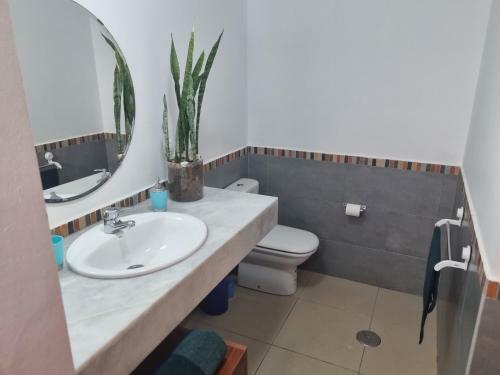 Apartamento El Jameo