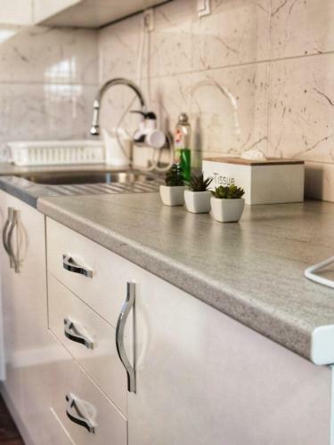 Pale City Center Apartment
