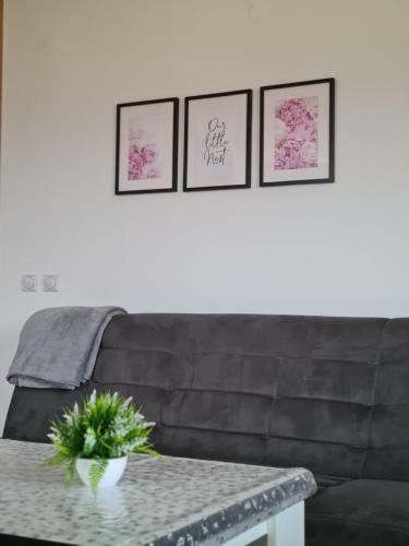 Apartman Jeti