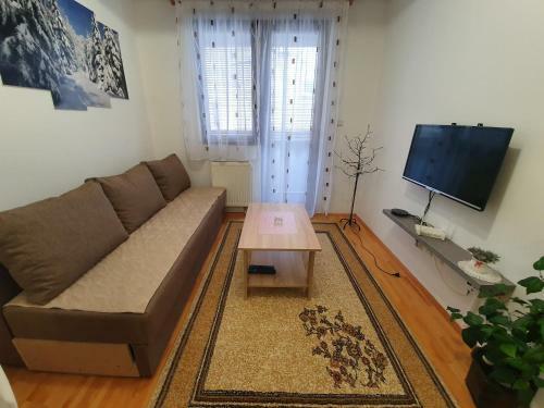 Apartments Sa?a