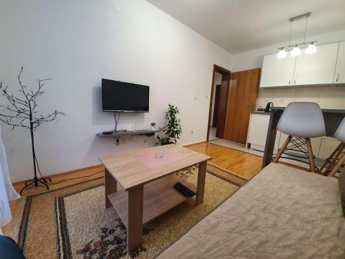 Apartments Sa?a