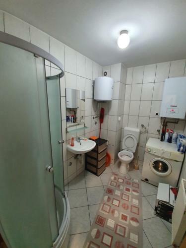 Apartments Sa?a
