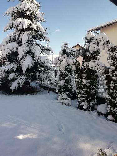 Apartman Kiki