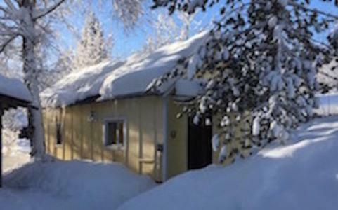 Trapper John's Cabin & Cottages