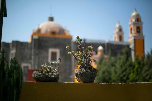Apartamento Majikal B&B - La Do�a