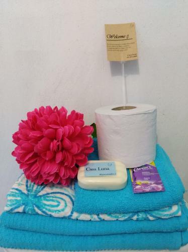Casita T�pica Cholulteca - Completa (8 Prs)