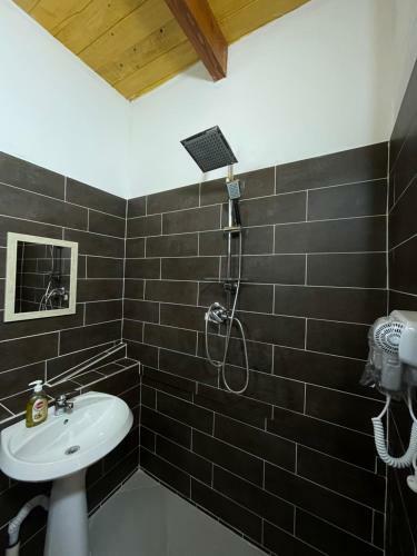 Hostal Royal Land