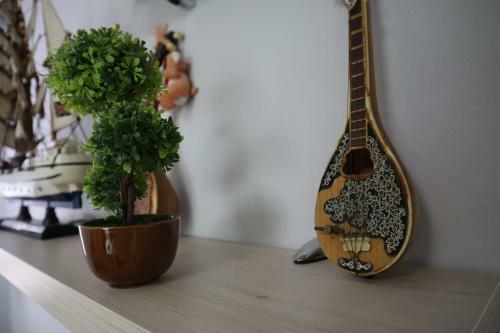 Cozy Apartment 1