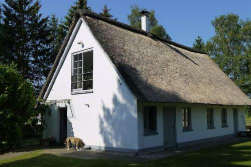 Wundersch�nes Reetdachhaus