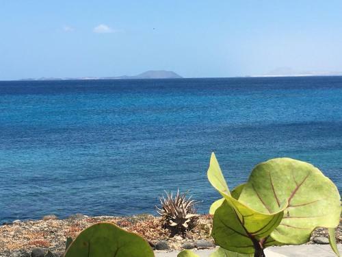 Vista Mar, Relax Y Confort