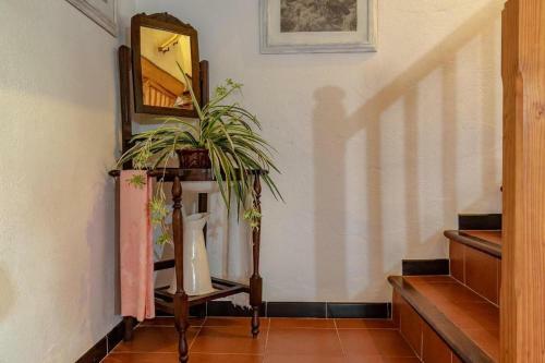 Villa Suari