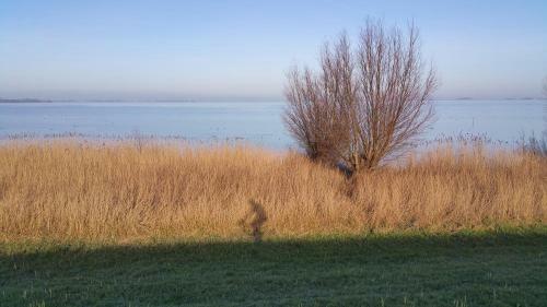 Bed In Waterland