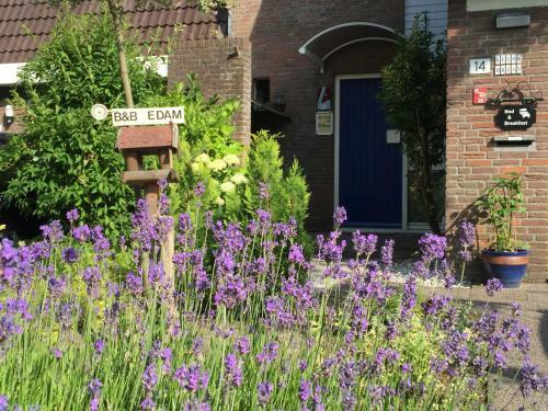 B&b-edam