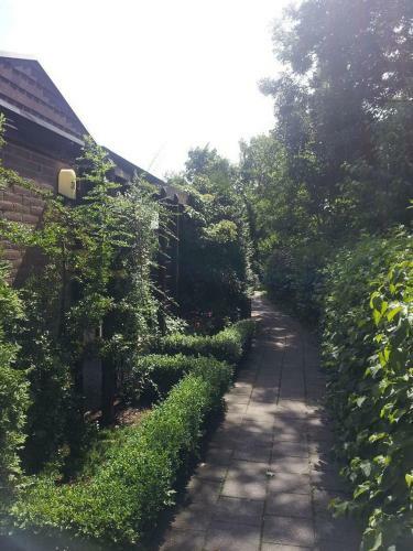 Zonneweelde