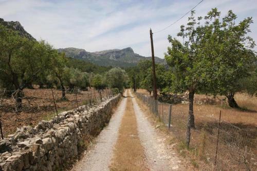 Villa Can Guillo