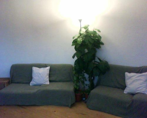 Apartamento Barca Serena