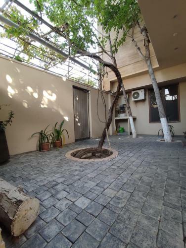 Apartamento Blue Poppy - 1 Br - Self Checkin - Garden - Bbq