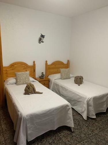Apartamento C & M