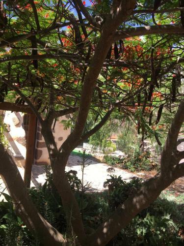 Hostal Vereda De Las Camellas