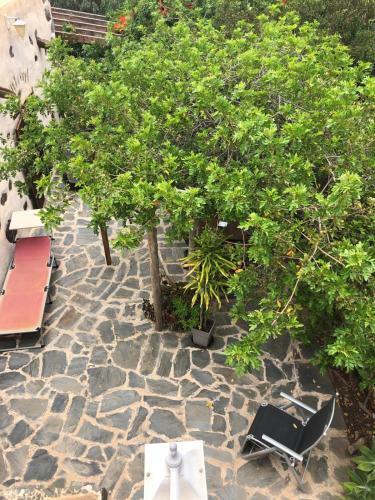 Hostal Vereda De Las Camellas