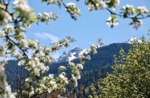 Apartamento Landhaus Bergner Alm