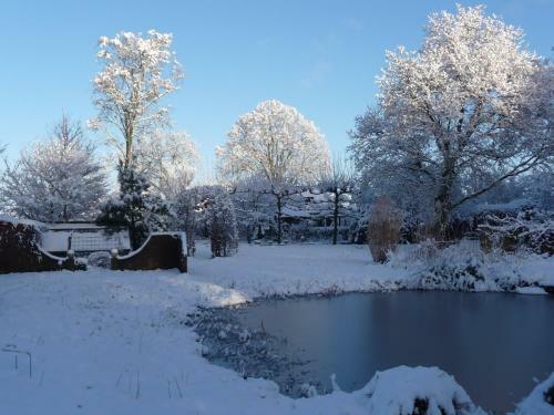 Bed & Breakfast Selatuinen