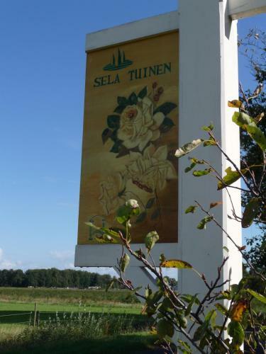 Bed & Breakfast Selatuinen