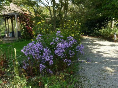 Bed & Breakfast Selatuinen