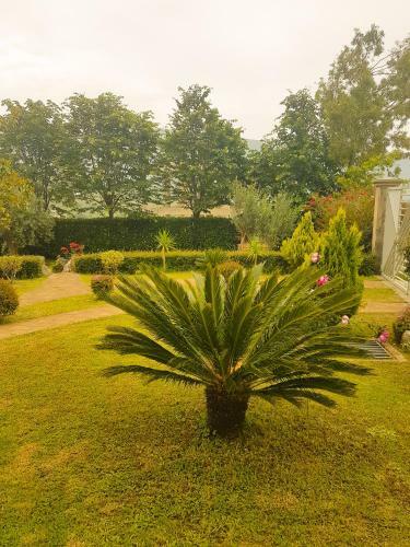 Hostal Vila Elida