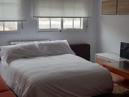 Apartamento Piso C�ntrico de 2 Dormitorios Con Terraza