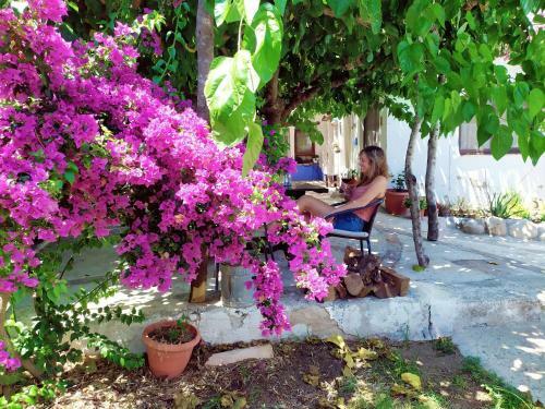 Agroturismo Les Olles