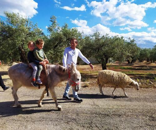 Agroturismo Les Olles