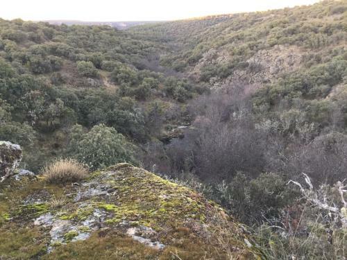 La Casona de Requijada A 6km de Pedraza Con Piscina