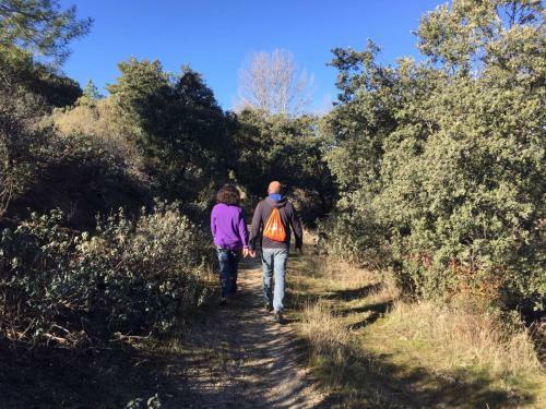 La Casona de Requijada A 6km de Pedraza Con Piscina