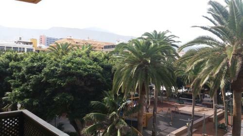 C�ntrico Y Coqueto Apartamento