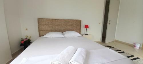 Hostal Guesthouse Bela