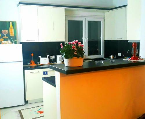 Hostal Guesthouse Bela